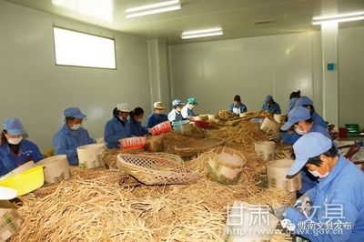 扶貧車間成就致富夢想 --文縣扶貧車間建設(shè)綜述