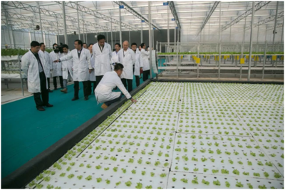 廣東省副省長鄧海光調(diào)研春沐源