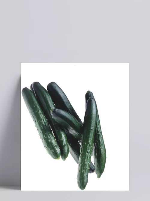 新鮮黃瓜食材 食材,食物,蔬菜,新鮮,瓜果,產(chǎn)品實物,設(shè)計元素 懨懨小生