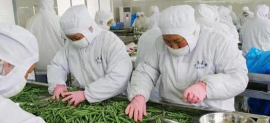 農(nóng)村&ldquo;小型加工廠&rdquo;做什么好?這3個項目&ldquo;錢&rdquo;景可觀,不愁銷路