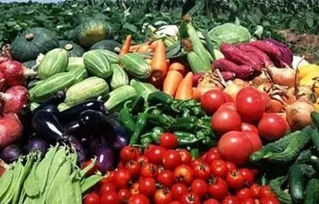 廣大市民注意啦 泊頭市創(chuàng)建省農(nóng)產(chǎn)品質(zhì)量安全縣倡議書(shū)