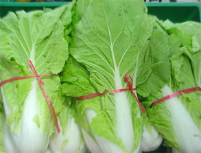 蘇州工廠蔬菜配送公司價(jià)格 蘇州工廠蔬菜配送公司型號(hào)規(guī)格