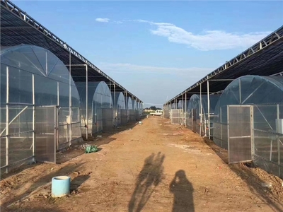 衡陽(yáng)連棟溫室大棚廠價(jià)格,報(bào)價(jià)