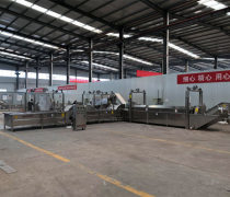 蔬菜殺青漂燙線優(yōu)質(zhì)商家置頂推薦產(chǎn)品