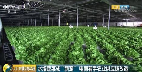 618購物節揭示消費新趨勢 90后轉向假發，00后擁抱抗衰老與蔬菜